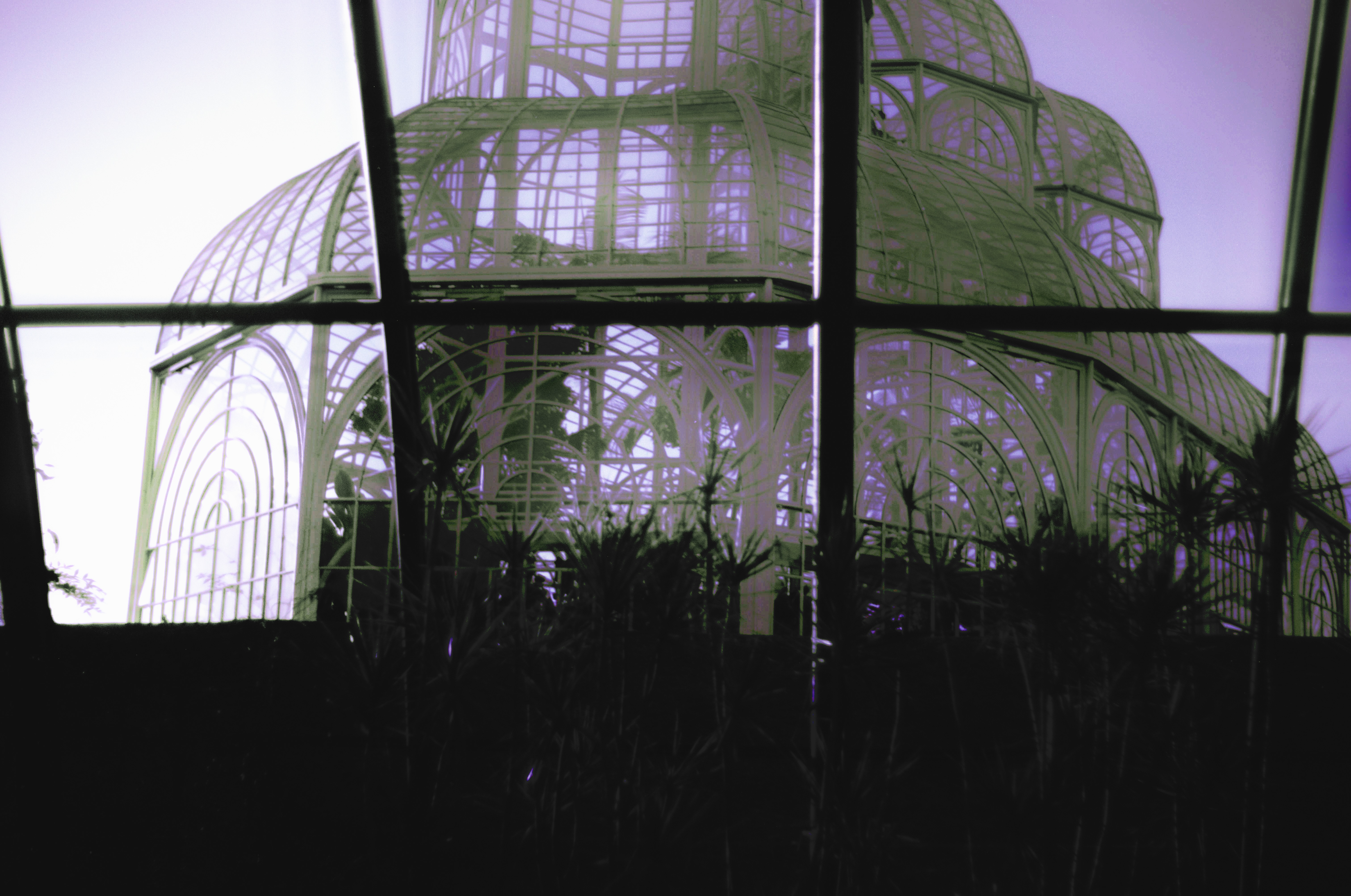 Fotografia de Natureza