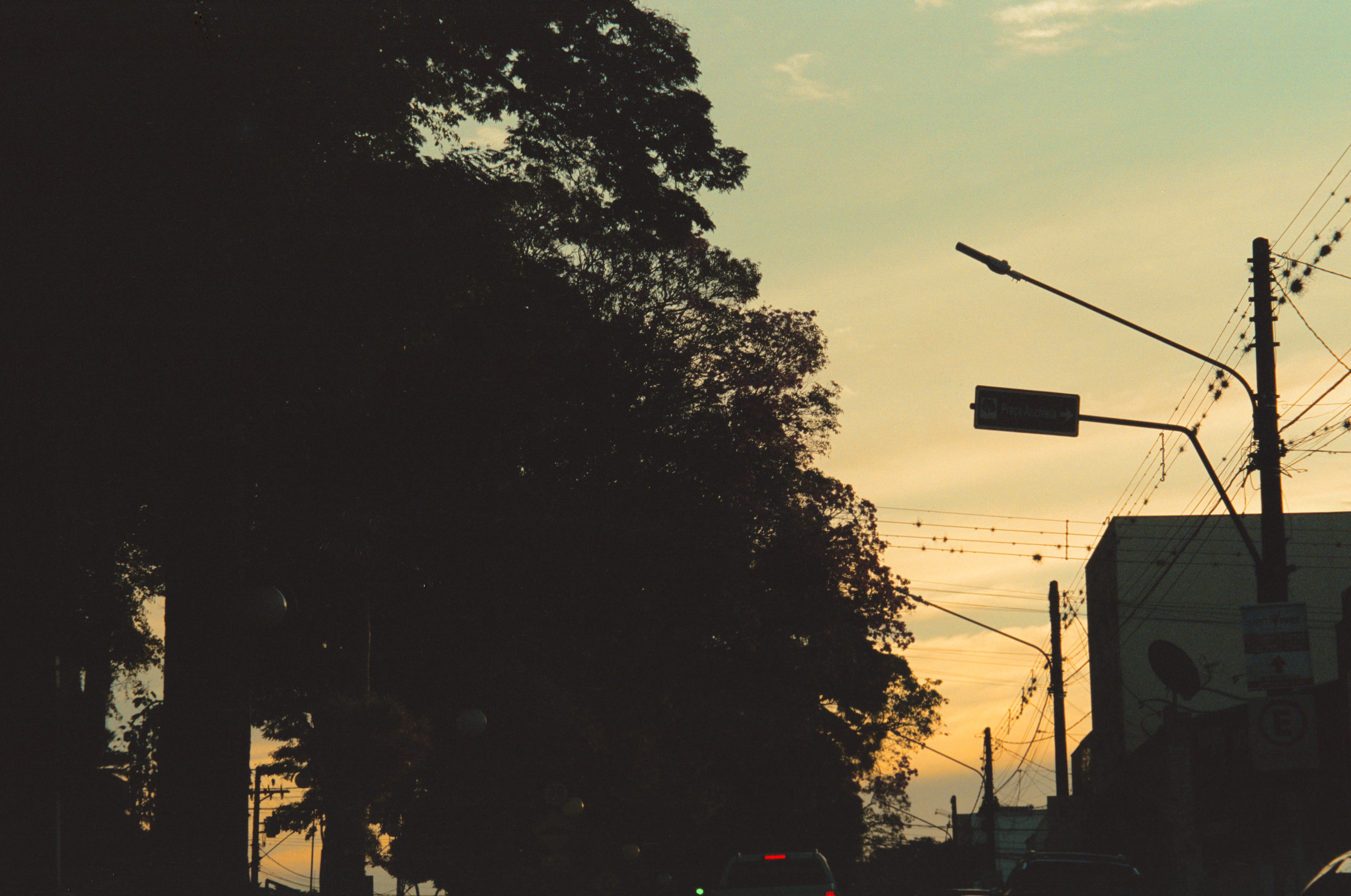 Fotografia de Natureza